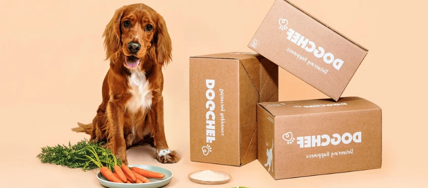code promo Dog Chef
