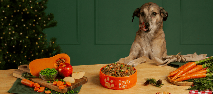 code promo Dogfy Diet