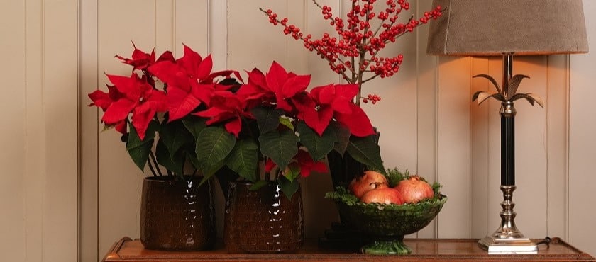 code promo Interflora