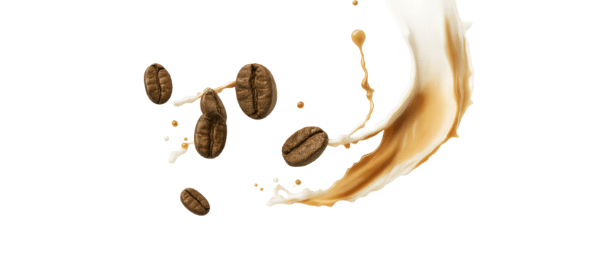 code promo More Nutrition