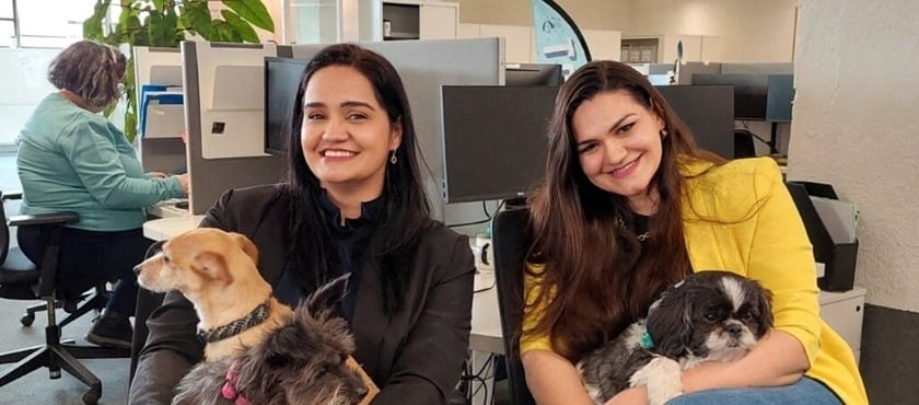 code promo Santévet