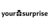 logo-Yoursurprise