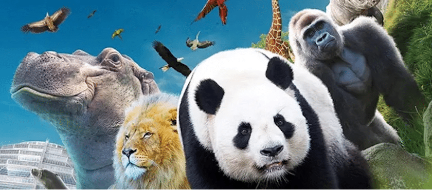 code promo ZooParc de Beauval