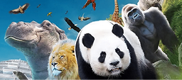 code promo ZooParc de Beauval